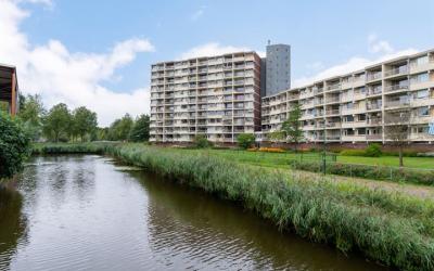 Zuiderkruis 278