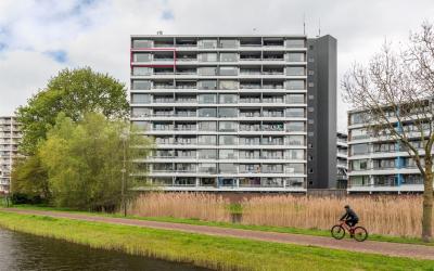 Zuiderkruis 556