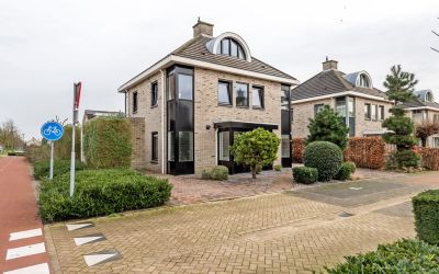 Leverkruid 1