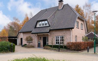Leverkruid 13