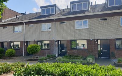 Vliegezwam 30