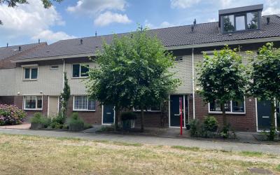 Honingzwam 63