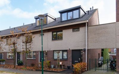 Honingzwam 67