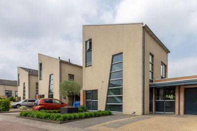 Berkenzwam 5