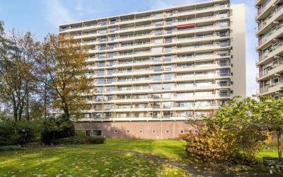 Prins Wille. 499