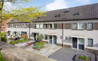 Maartvlinde. 41