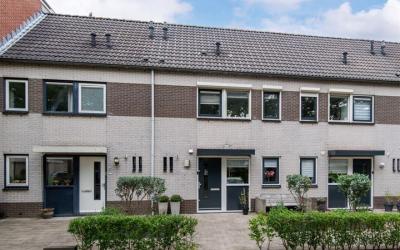Maartvlinde. 47