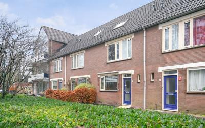 Muurzwaluw 87