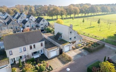 Van Alphens. 7