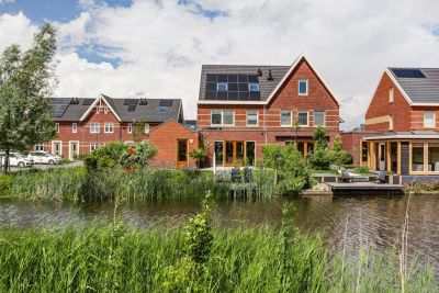 Aalscholver 10