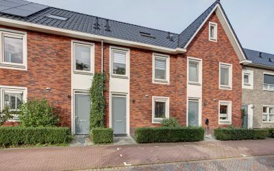 Dotterbloem 16