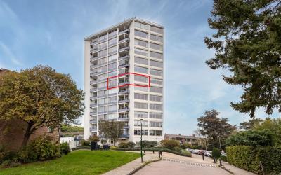 Rozenlaan 81