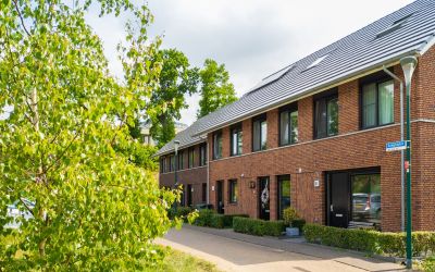 Zanglijster 63