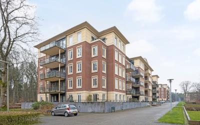 Rhenendael 28