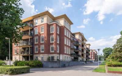 Rhenendael 46