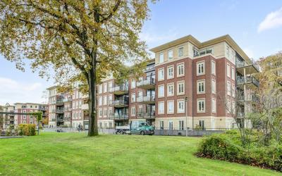 Rhenendael 91