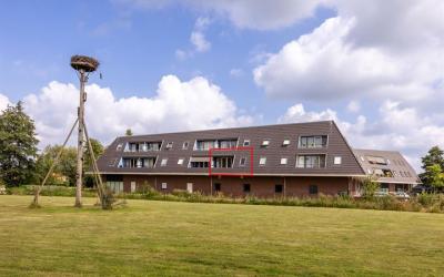 Schoneveld 47