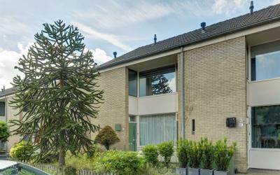 van Reedeweg 98