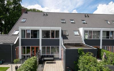 Scholekster. 12