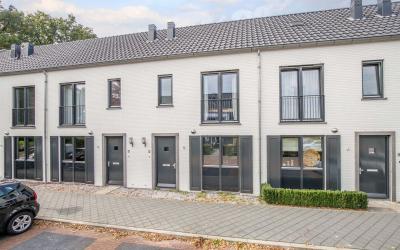 Scholekster. 34