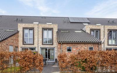 Leeuwerikwe. 55