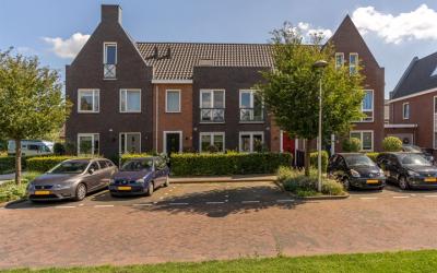 Gouden Regen 46-B