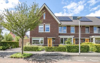 Gouden Regen 68