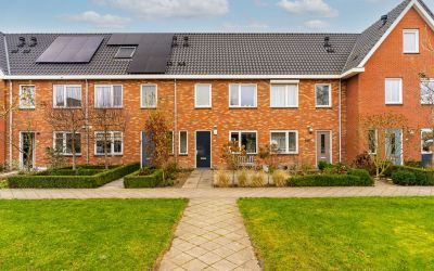 Magnoliasin. 47