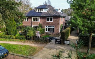 Willem de Z. 10