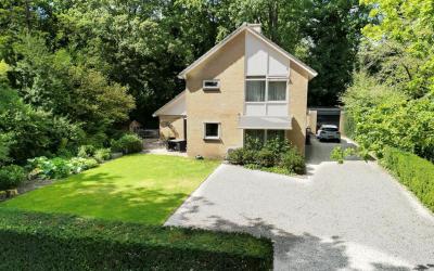 Beukenrodel. 24