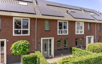 Constantijn. 24