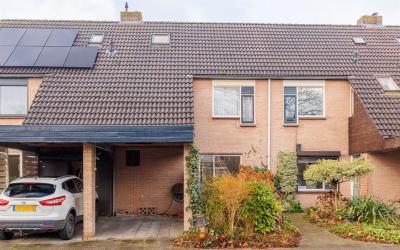 Groenbergen 7