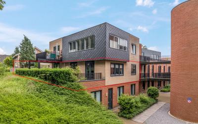 Molenbrink 55