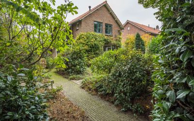 Holleweg 31