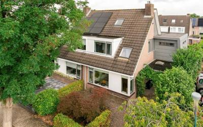 Schout 11