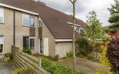 Goudse Steen 16