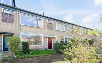 Haraldstraat 24