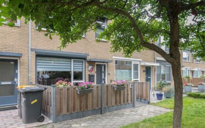 Haraldstraat 7