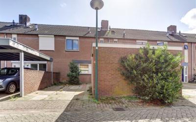 Moerbeienga. 38