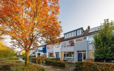 Lodewijk de. 6