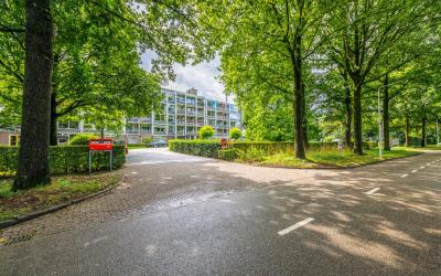 Beukenhorst 40