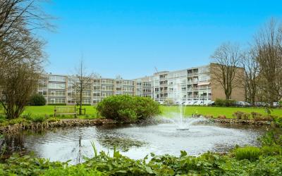 Beukenhorst 46