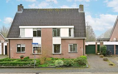 Scholekster 36