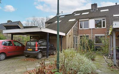 De Havik 3