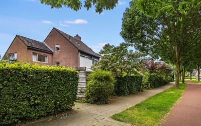 van Zijldre. 49