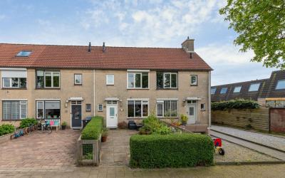 Esdoorn 44