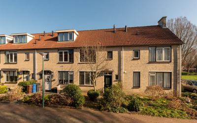 Zwanebloem 4