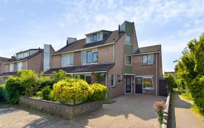 Goudsbloem 14