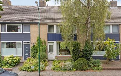 Abdijgaarde 11