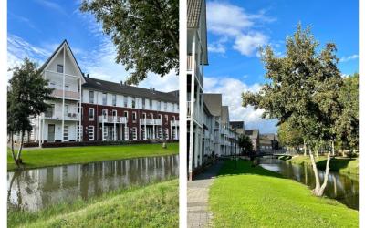 Lingepolder 19